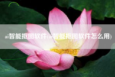 ai智能抠图软件(ai智能抠图软件怎么用)
