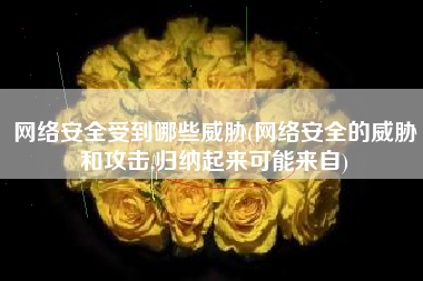 网络安全受到哪些威胁(网络安全的威胁和攻击,归纳起来可能来自)