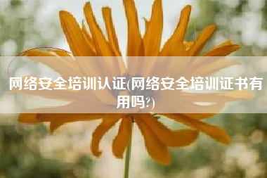 网络安全培训认证(网络安全培训证书有用吗?)