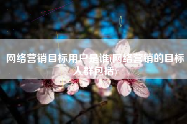 网络营销目标用户是谁(网络营销的目标人群包括)