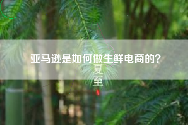 亚马逊是如何做生鲜电商的？