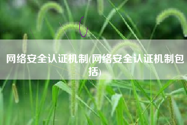 网络安全认证机制(网络安全认证机制包括)