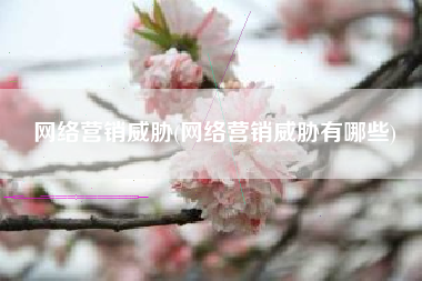网络营销威胁(网络营销威胁有哪些)