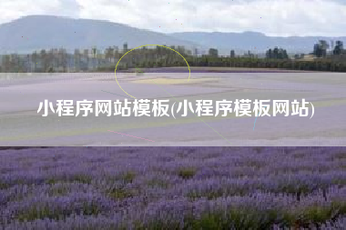 小程序网站模板(小程序模板网站)