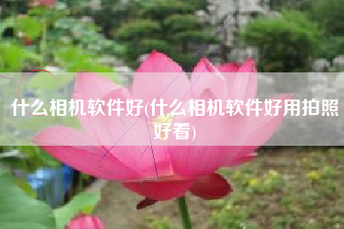 什么相机软件好(什么相机软件好用拍照好看)