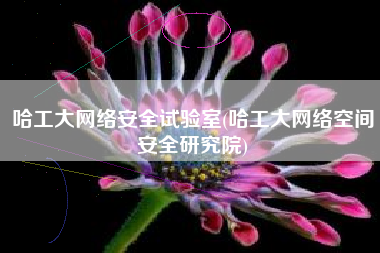 哈工大网络安全试验室(哈工大网络空间安全研究院)