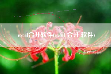 excel合并软件(excel 合并 软件)