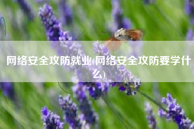 网络安全攻防就业(网络安全攻防要学什么)