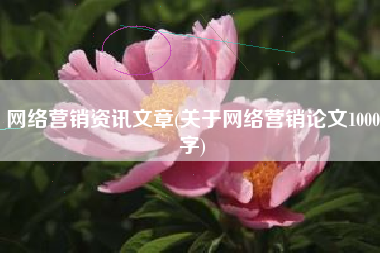 网络营销资讯文章(关于网络营销论文1000字)
