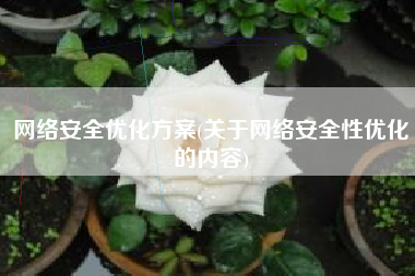 网络安全优化方案(关于网络安全性优化的内容)