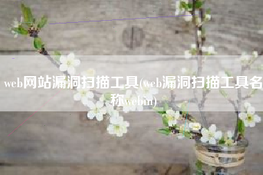 web网站漏洞扫描工具(web漏洞扫描工具名称webin)