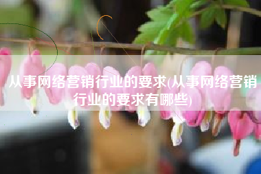 从事网络营销行业的要求(从事网络营销行业的要求有哪些)