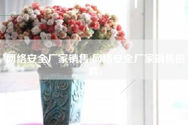 网络安全厂家销售(网络安全厂家销售招聘)