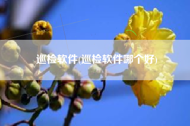 巡检软件(巡检软件哪个好)