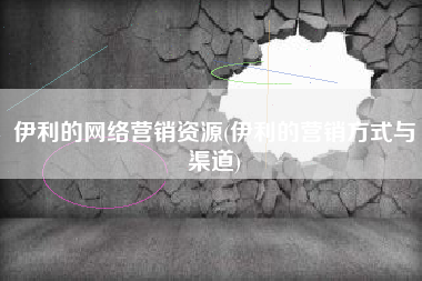 伊利的网络营销资源(伊利的营销方式与渠道)