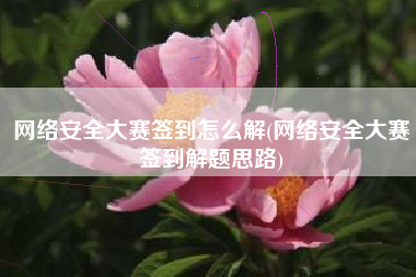 网络安全大赛签到怎么解(网络安全大赛签到解题思路)