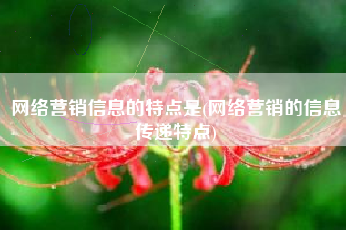 网络营销信息的特点是(网络营销的信息传递特点)