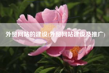 外贸网站的建设(外贸网站建设及推广)