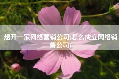 想开一家网络营销公司(怎么成立网络销售公司)
