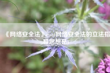 《网络安全法》cisa(网络安全法的立法指导思想是)