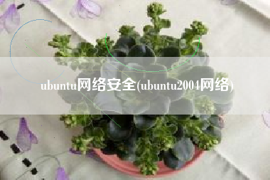 ubuntu网络安全(ubuntu2004网络)