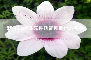 软件功能图(软件功能图叫什么名字)