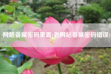 网站备案密码重置(老网站备案密码错误)