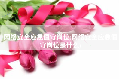 网络安全应急值守岗位(网络安全应急值守岗位是什么)