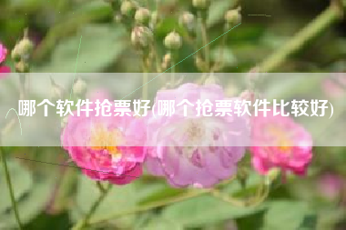 哪个软件抢票好(哪个抢票软件比较好)