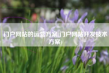 门户网站的运营方案(门户网站开发技术方案)