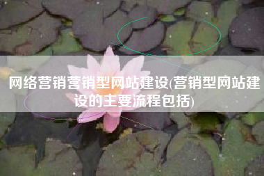 网络营销营销型网站建设(营销型网站建设的主要流程包括)