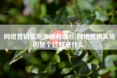 网络营销实施步骤有哪些(网络营销实施的整个过程是什么)