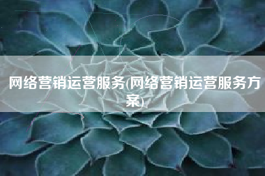 网络营销运营服务(网络营销运营服务方案)