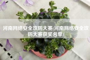 河南网络安全攻防大赛(河南网络安全攻防大赛获奖名单)