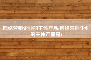 网络营销企业的主体产品(网络营销企业的主体产品是)