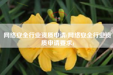 网络安全行业资质申请(网络安全行业资质申请要求)