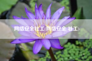 网络安全社工(网络安全 社工)