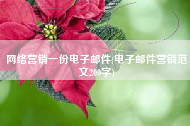 网络营销一份电子邮件(电子邮件营销范文200字)