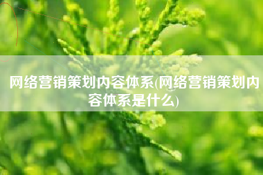 网络营销策划内容体系(网络营销策划内容体系是什么)