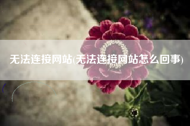 无法连接网站(无法连接网站怎么回事)
