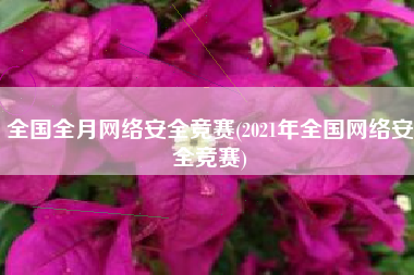 全国全月网络安全竞赛(2021年全国网络安全竞赛)