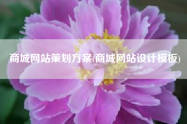 商城网站策划方案(商城网站设计模板)