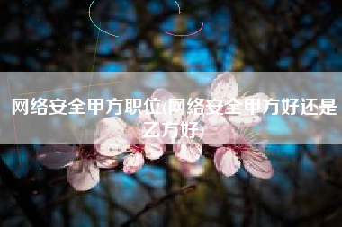 网络安全甲方职位(网络安全甲方好还是乙方好)