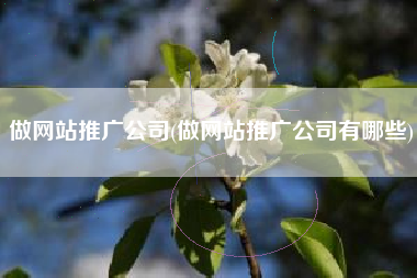 做网站推广公司(做网站推广公司有哪些)