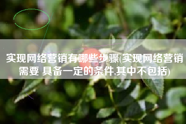 实现网络营销有哪些步骤(实现网络营销需要 具备一定的条件,其中不包括)