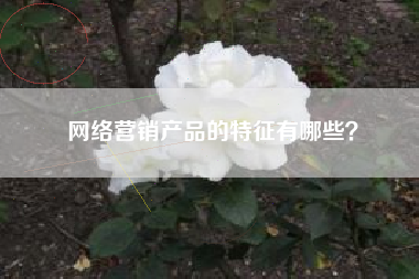 网络营销产品的特征有哪些？