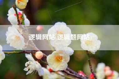 逻辑网站(逻辑题网站)