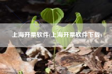上海开票软件(上海开票软件下载)