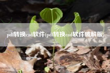pdf转换cad软件(pdf转换cad软件破解版)