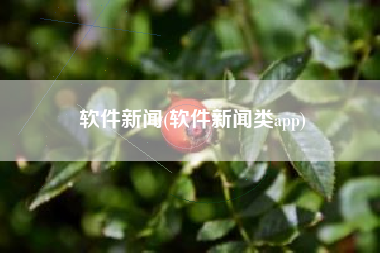 软件新闻(软件新闻类app)